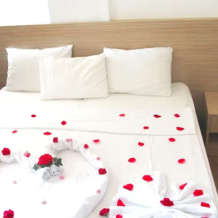 Apartman Arda *